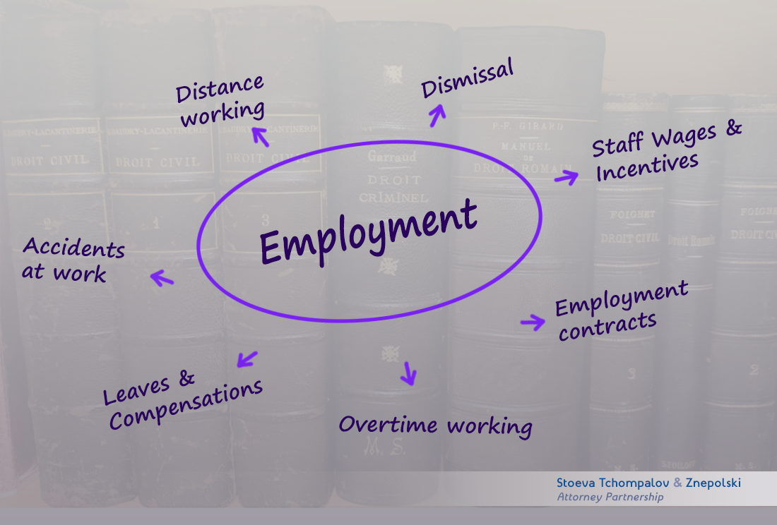  Employment law